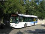 Die Flotte der Citoatbus, ...  Silvio Jenny 11.08.2008