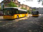 mercedes-benz-o-530-i-citaro Mercedes Citaro und MAN Lion's City von Postauto am Bhf. Wiedikon.