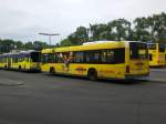 berlin Volvo V7000 auf der Linie 110 nach U-Bahnhof Oskar-Helene-Heim an der Haltestelle Hertzallee.