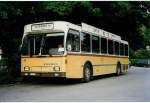 Berner Oberland Aus dem Archiv: STI Thun Nr. 58/BE 413'458 Saurer/R&J SH am 29. Juni 1999 Thun, Schiffl�ndte