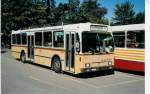 Berner Oberland Aus dem Archiv: STI Thun Nr. 51/BE 396'551 Saurer/R&J SH am 7. Oktober 1999 Thun, Schiffl�ndte