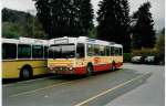 Berner Oberland Aus dem Archiv: STI Thun Nr. 30/BE 419'030 Volvo/R&J (ex SAT Thun Nr. 30) am 11. November 1999 Thun, Schiffl�ndte