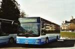 MAN Fremdaufbauten BSW Sargans Nr. 322/SG 297'509 MAN/G�ppel am 14. M�rz 2009 Sargans, Bahnhof