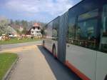 mercedes-benz-o-530-i-citaro In der Schweiz gibts nicht nur K�he, sondern auch Busse :-) BSU Citaro Nr.49 eingeteilt auf der Linie 1 wird am 22.04.09 in Recherswil von einer Herde K�hen bestaunt...