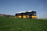 Postauto PostAuto Z�rich, PU Motrag, Flaach, Nr. 134 (ZH 51'394, MAN NL313/A21, 2002) am 10.4.2009 auf der Linie 670 zwischen Aesch und Riet. 