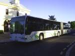 Citaro Gelenkbus Nr E ...  Gilles LENHARD 07.05.2009