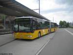 mercedes-benz-o-530-i-citaro Die Linie 835 wurde erst vor 3 Jahren auf Gelenkbus umgestellt. Dies beweist das Baujahr des im Bild zu sehenden Wagen 201 von PU Ryffel. Er wurde erst im Jahre 2006 geliefert, und steht am 16.6.09 beim Bhf. Pf�ffikon ZH und wartet den Anschluss der S3 ab.