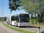 VZO Citaro Nr.62 mit der ZVV Werbung, am 13.06.09 auf ...