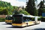 Berner Oberland STI Thun Nr. 120/BE 700'120 MAN am 19. Mai 2009 Thun, Schiffl�ndte