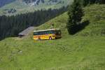 Berner Oberland GrindelwaldBus Nr 11 (BE 261'865, Vetter 10SH, 1992) am 30.6.2007 zwischen dem unteren und dem oberen Lauchb�hl auf einer Dienstfahrt zur Grossen Scheidegg. 