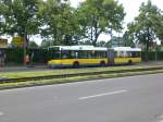 berlin Solaris Urbino auf der Linie M11 nach Lichterfelde Unter den Eichen/Drakestra�e an der Haltestelle Neuk�lln Neuk�llner Stra�e/Zwickauer Damm.