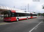 Solaris 223 ''Kamel'' und ...  Silvio Jenny 27.05.2007