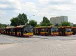 Solaris Urbino 18, Man NG313 und Neoplan N4020, 6.07.2009 os. ...