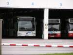 salzburg Versdchiedene Busse in den Slazburger Kfz Zulassungsgebiet.