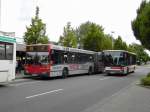 Links ein Mercedes O ...  Nicolas Borkelmans 21.08.2009