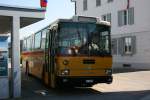 Postauto PU Amstein, Willisau, LU 15'555 (Saurer/RJ RH525-23, 1984) am 24.8.2009 in Menznau. 