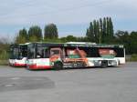 Solaris Urbino 26.08.09,SOLARIS u. MB-Citaro der HCR in Wanne Eickel.
