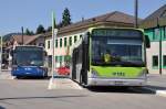 van-hool-a-300-reihe-alle-untertypen Busland AG, Burgdorf Nrn. 6 und 8/Van Hool am 27. August 2009 in Langnau.