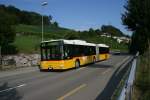 winterthur PU Motrag, Flaach, Nr. 163 (ZH 696'863, MAN NG363/A23, 2003) am 7.9.2009 als 670er-Entlastungskurs zwischen Winterthur und Neftenbach. 