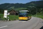 Postauto Postautobetriebe AG Unteres Toggenburg, L�tisburg, SG 16'779 (MB Citaro �, 2004) am 8.9.2009 unterwegs zwischen Brunnadern und St. Peterzell. 