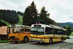 Berner Oberland Buzzi, Bern BE 530'697 FBW/R&J (ex Burri, Teuffenthal) + STI Thun Nr. 52/BE 396'552 Saurer/R&J SH am 9. August 2009 Teuffenthal, Post
