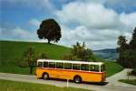 Berner Oberland Buzzi, Bern BE 530'697 FBW/R&J (ex Burri, Teuffenthal) am 9. August 2009 Buchen bei Teuffenthal