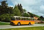 Berner Oberland Buzzi, Bern BE 530'697 FBW/R&J (ex Burri, Teuffenthal) am 9. August 2009 Buchen bei Teuffenthal