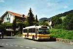 Berner Oberland STI Thun Nr. 52/BE 396'552 Saurer/R&J SH am 9. August 2009 Oberhofen, Wichterheer Gut