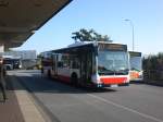 hamburg Mercedes-Benz O 530 II (Citaro Facelift) auf der Linie 443 nach Meckelfeld,Buchenhain am S-Bahnhof Harburg.