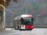 tpf - Hess-Trolleybus Nr.520 ...  Hp. Teutschmann 18.11.2009