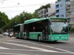basler-verkehrsbetriebe-bvb Mercedes Citaro 701, der auf den Namen Luftibus getauft wurde f�hrt am Burgfelderplatz Richtung Bahnhof SBB. Die Aufnahme stammt vom 18.06.2009.