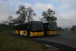 Postauto 15-Meter-Treffen bei der Endstation Neuenkirch, Altersheim: Der MAN Nr. 43 (2008) ist aus Luzern angekommen und wird nun ins Depot fahren, w�hrend der Setra Nr. 45 (2004) frisch aus der Garage gekommen ist und in K�rze den Gegenkurs nach Luzern beginnen wird. 22.1.2010. 