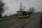 Postauto PU Sidler, Sempach, LU15'610 (S315NF, 2005) am 22.1.2010 unterwegs zwischen Sempach Stadt und dem Bahnhof Sempach-Neuenkirch.