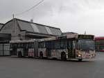 Mercedes Bus 736 auf ...  Markus Wagner 25.01.2010