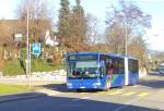 VZO-Bus 111, Linie 880 ...  kai brunner 08.02.2010