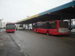 ludgwigshafen-busverkehr-rhein-neckar-brn Zwei DB Stadtverkehr Busse in Sinsheim Hbf. Also f�r alle Bus- und Bahn ist das ein Geheimmtipp. Dort fahren drei Linien der SWEG und noch ein paar von der DB. Ein Schlaraffenland f�r Fotografen. Mann muss nur unter der Woche kommen am Wochenende f�hrt nicht so viel. Am 17.02.10 war dies.