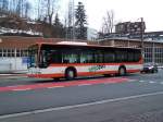 Citaro Nr 4 in ...  Gilles LENHARD 28.02.2010