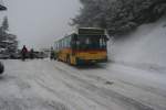 mercedes-benz-o-405--hochflur-stadtversion In der wahrscheinlich letzten Wintersaison bei PU Engeloch als Nr. 2/BE 447'210 ist der MB/RJ O405 ex P25'366 aus 1992 normalerweise nur noch Freitag-Sonntag als Schneebus zwischen Schwarzenburg und Schwarzenb�hl unterwegs. Am 7.3.2010 gelang diese Aufnahme bei der bergseitigen Endstation. 