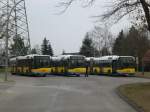 berlin Solaris Urbino auf der Linie 255 nach U-Bahnhof Osloer Stra�e an der Haltestelle Wei�ensee Schwarzelfenweg.