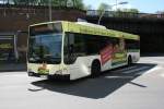 hamburg Der 2007 f�r die HHA gebaute Citaro(Facelift) mit Werbung f�r den Wildpark Schwarze Berge.