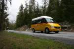 Postauto Zwischen Niedergr�chen und Gasenried steht meist der Sprinter 313CDI Nr. 64 aus 2001 im Einsatz. Die Aufnahme entstand auf dem einzigen unbesiedelten Teilst�ck der Linie am 13.5.2010. 