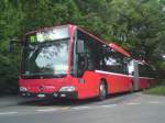 bernmobil-svb-bern Mercedes Citaro CNG 850 an der Fr�hlingshaften Endstation Elfenau. 20.05.2010.