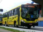 Comil,Elite  ...  Adrian Beutler 31.05.2010