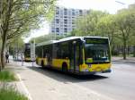 berlin Mercedes-Benz O 530 LE � (Citaro) auf der Linie 221 nach M�rkisches Viertel Bernhauser Ring an der Haltestelle M�rkisches Viertel  Wilhelmsruher Damm/Treuenbrietzener Stra�e.