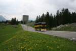 Der Neoplan 4426/3 SG ...  Jonas Schaufelberger 09.06.2010