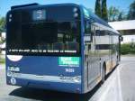 avignon Heckansicht vom Solaris Urbino 12 in Avignon.