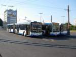 Solaris Urbino Man Lion's City G CNG (PKM Gdynia #2208), MB Citaro G (Gryf Kartuzy #7203)und Solaris Urbino 18 (PKM Gdynia #2272), Gdynia Hauptbahnhof, 10.07.2010