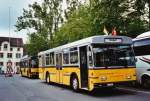 Bustag 2010 in Schaffhausen: Wanner, Schleitheim SH 58 045 Saurer/Hess SH ...