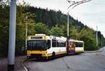 Bustag 2010 in Schaffhausen: VBSH Schaffhausen Nr. 116 NAW/Hess Gelenktrolleybus ...