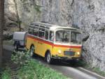 Postauto Saurer SV2C-H BE 26105. Aufgenommen am 29.05.2010 anl�sslich des Jubil�ums '80 Jahre Postautolinie Griesalp'
